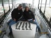 (04/01/2014) - Nice Striped Bass
